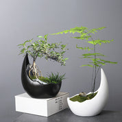 Luna Curve Ceramic Planter