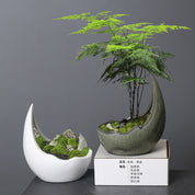 Luna Curve Ceramic Planter